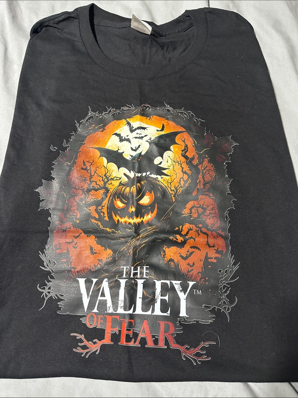 Hanes Black Short Sleeve Tee with Orange Pumpkin Graphic